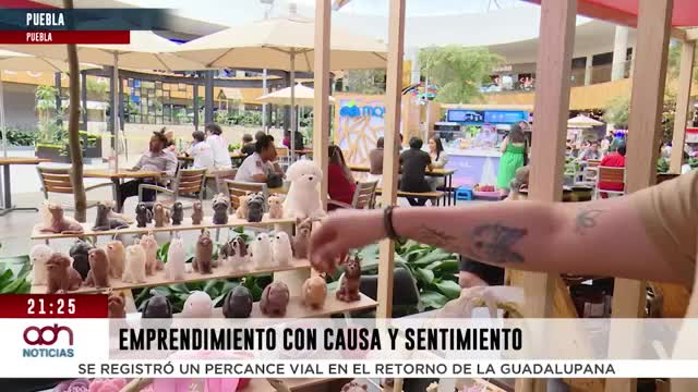 Velas de mascotas destaca en Puebla