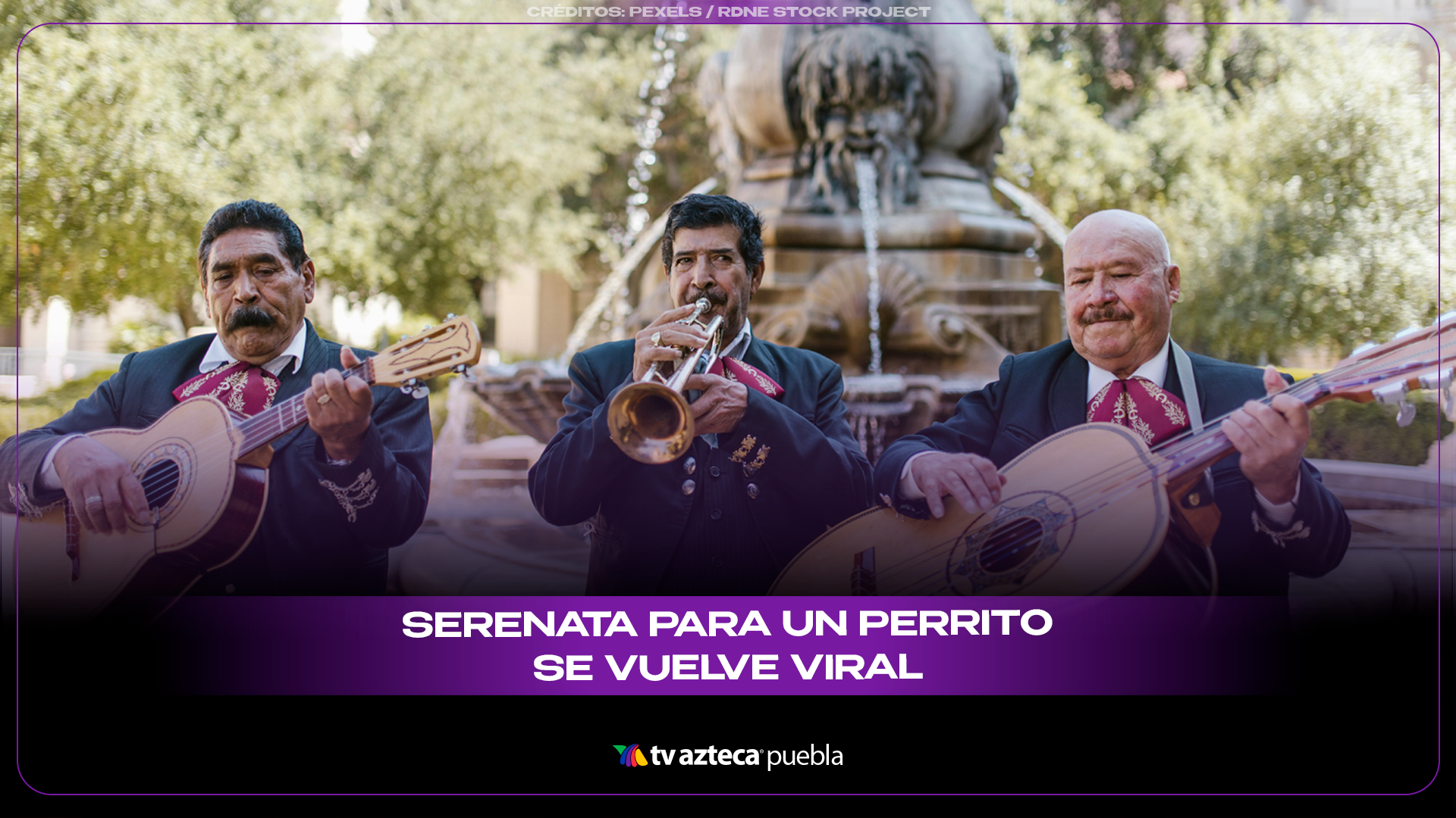 Serenata para un lomito se vuelve viral por cantar “Desvelado” con ladridos incluidos