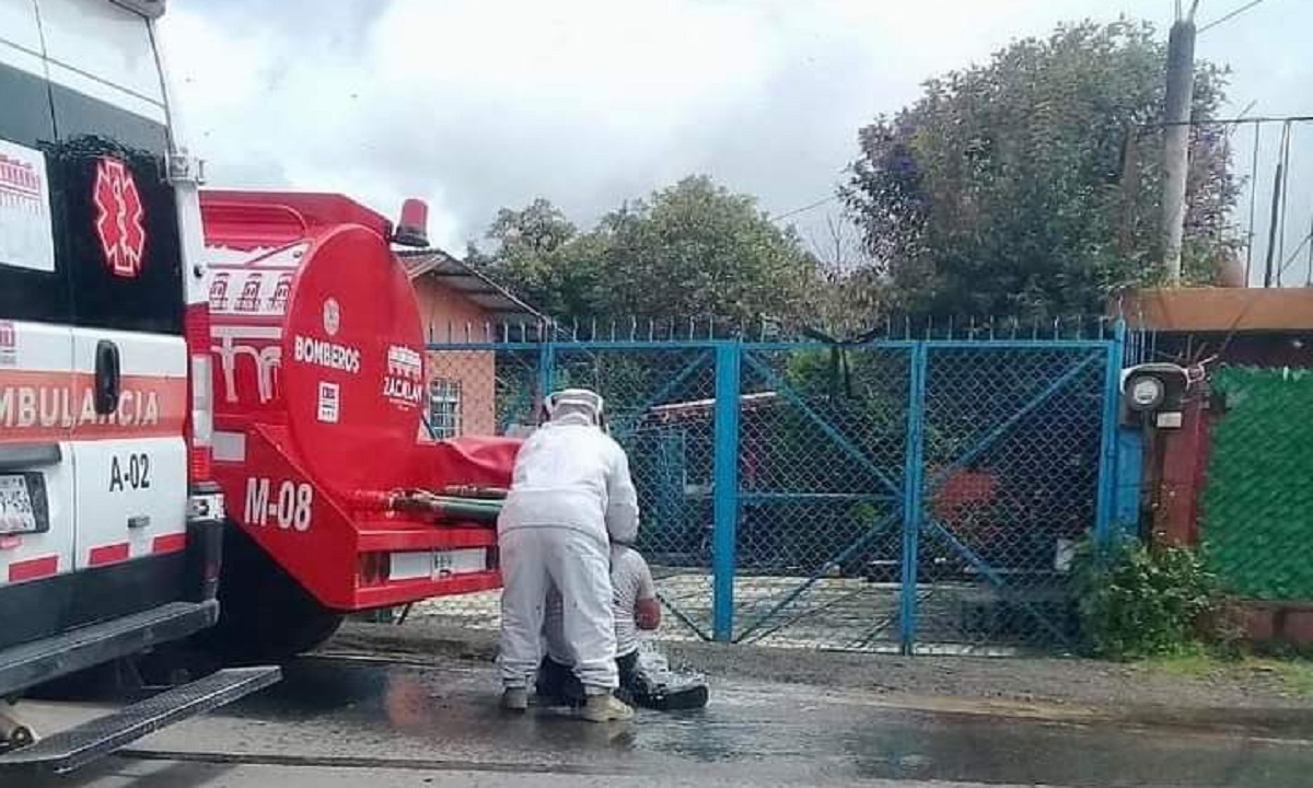 Ataque de abejas en Tehuacán deja un muerto y dos heridos graves