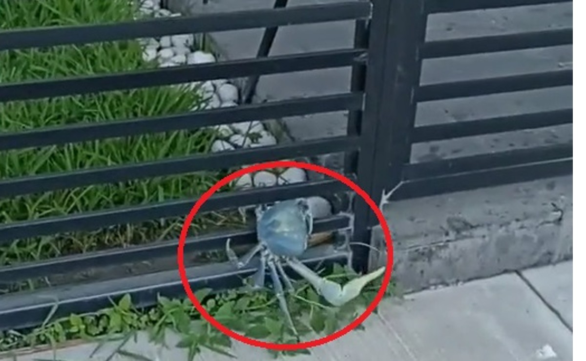 40 Under 40: The Rising Stars in NYC Food Policy (Class of 2025) - NYC Food  Policy Center (Hunter College), image size:1200x740