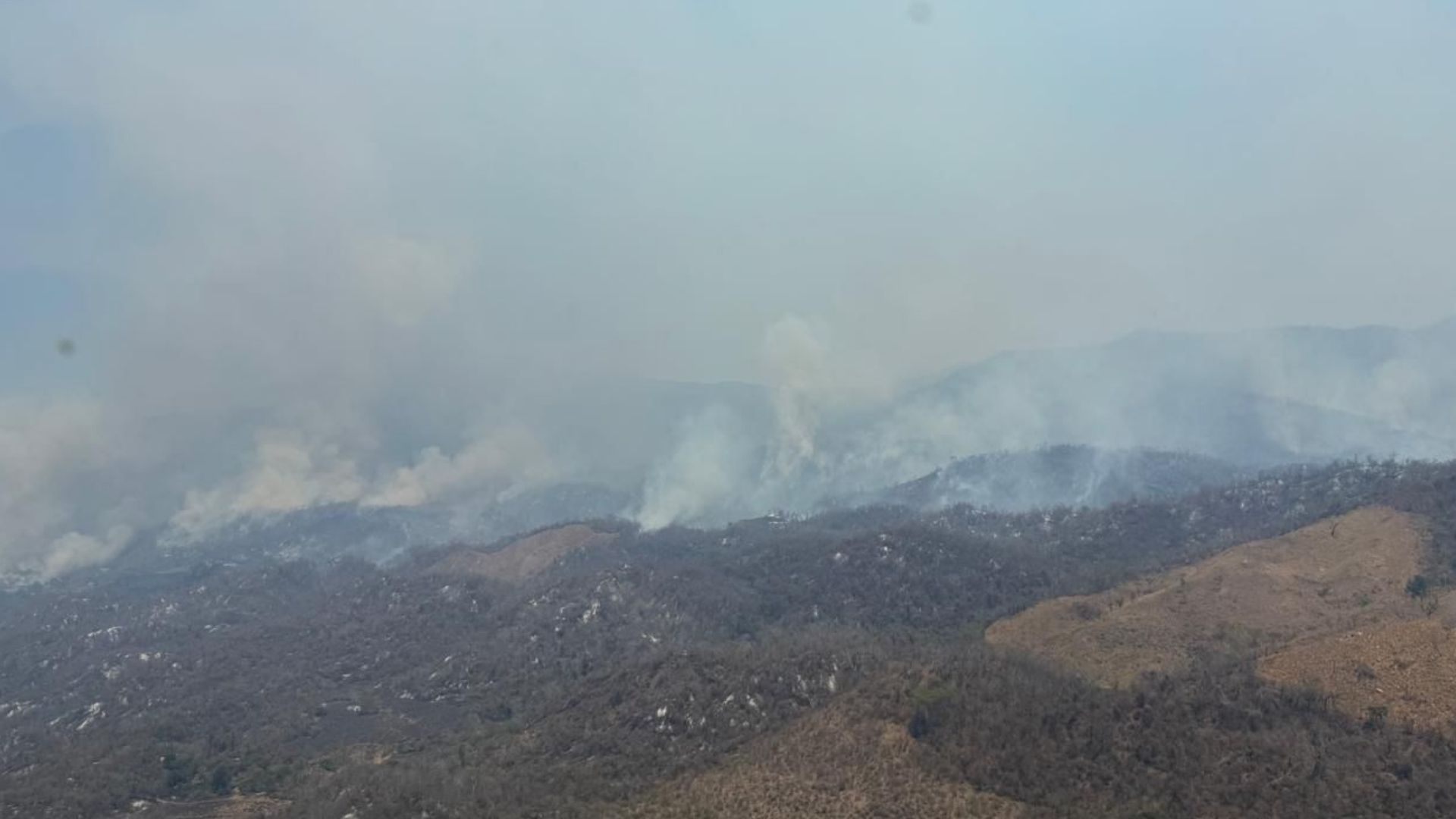 Reportan controlado a 75 por ciento el incendio forestal en Cabo ...