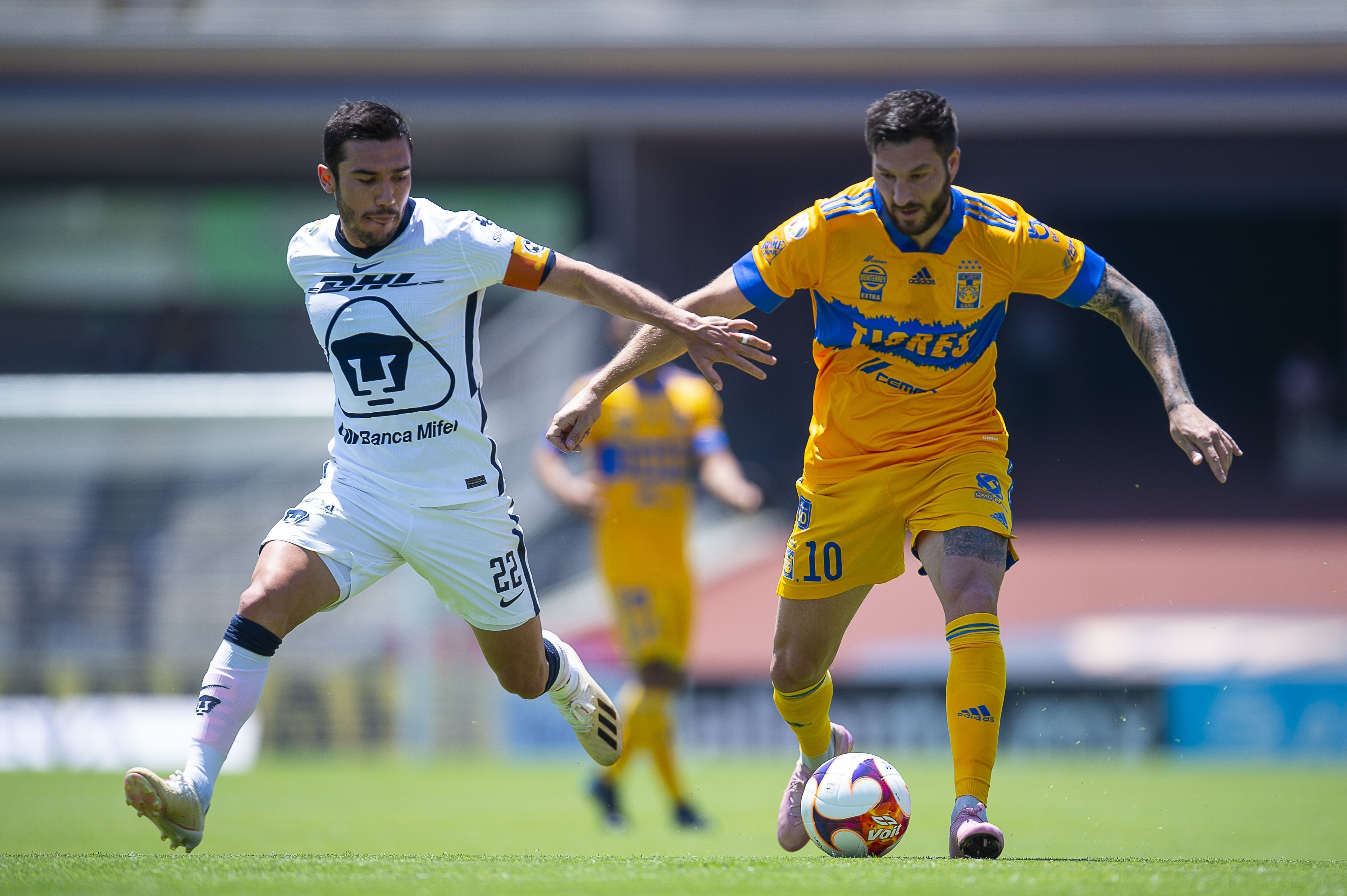 Tigres el equipo más rico en toda la Liga MX - Vimarsana News