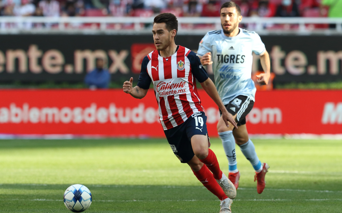 Chivas vs Tigres EN VIVO | Horario y dónde ver la Jornada 9 de Liga MX