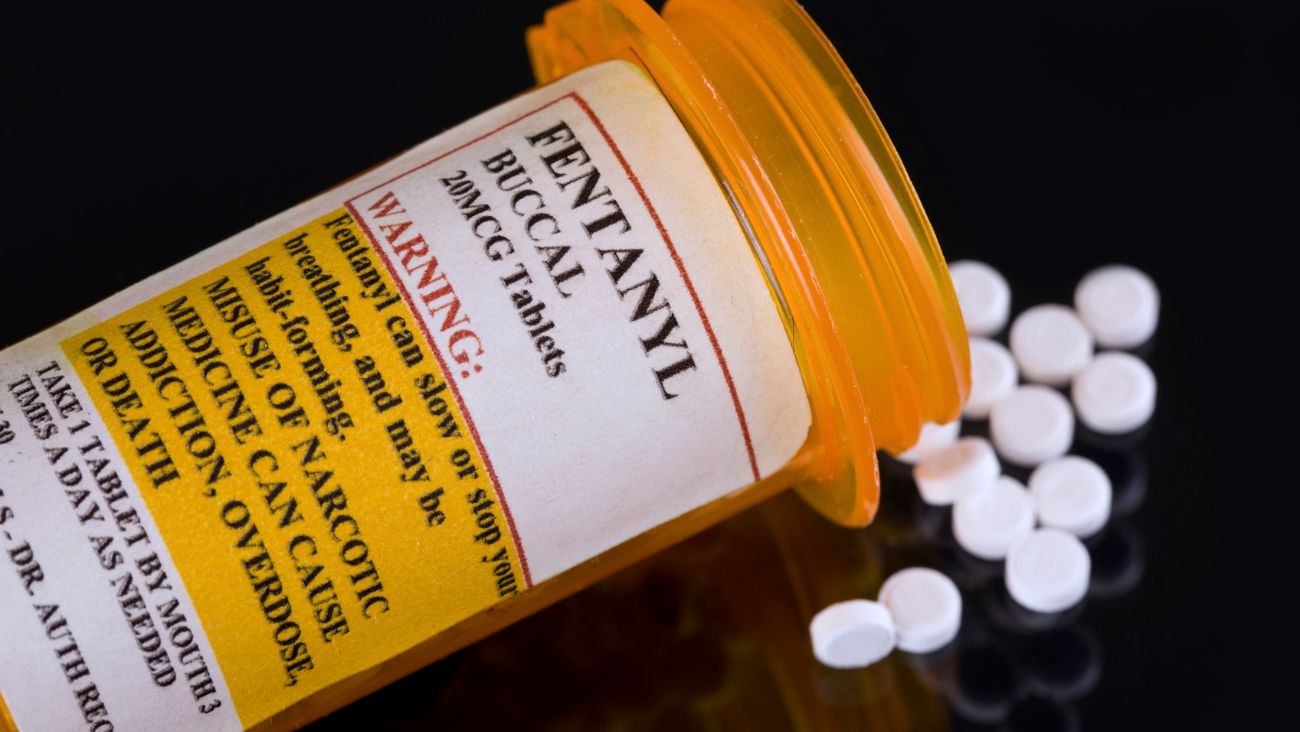 ONU respalda plan de México para frenar la producción de fentanilo