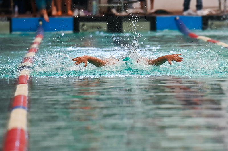 Natación_3/natacion_337.jpg