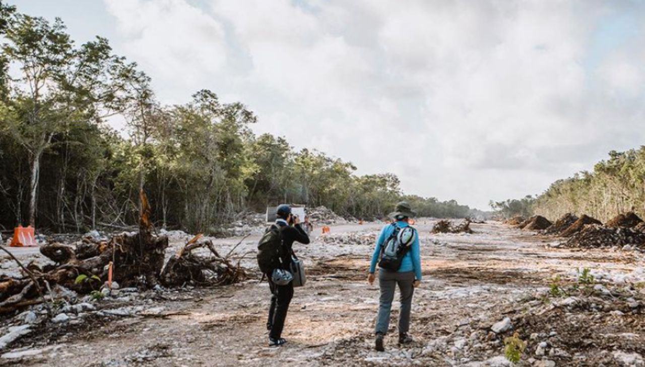 Impacto ambiental del Tren Maya en Quintana Roo