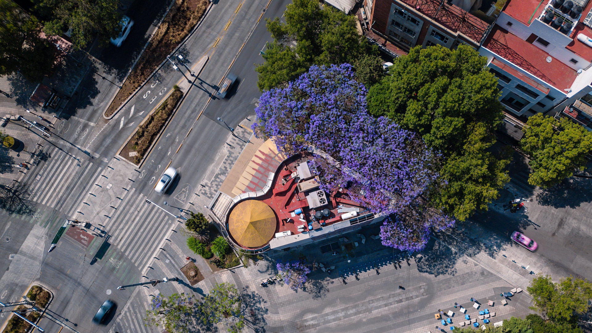 Vivir en este barrio de CDMX cuesta la mitad que en Roma, pero ofrece ...