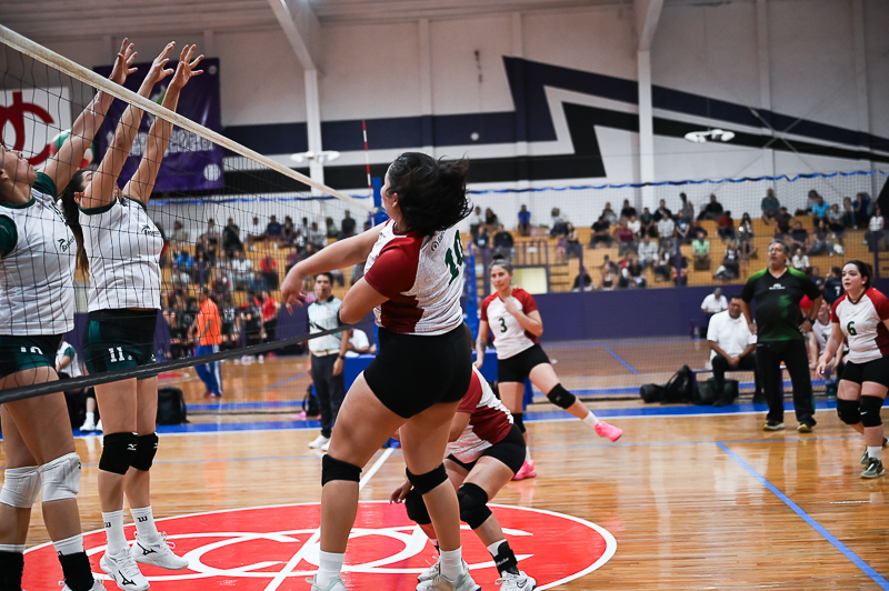 voleibol_081.jpg