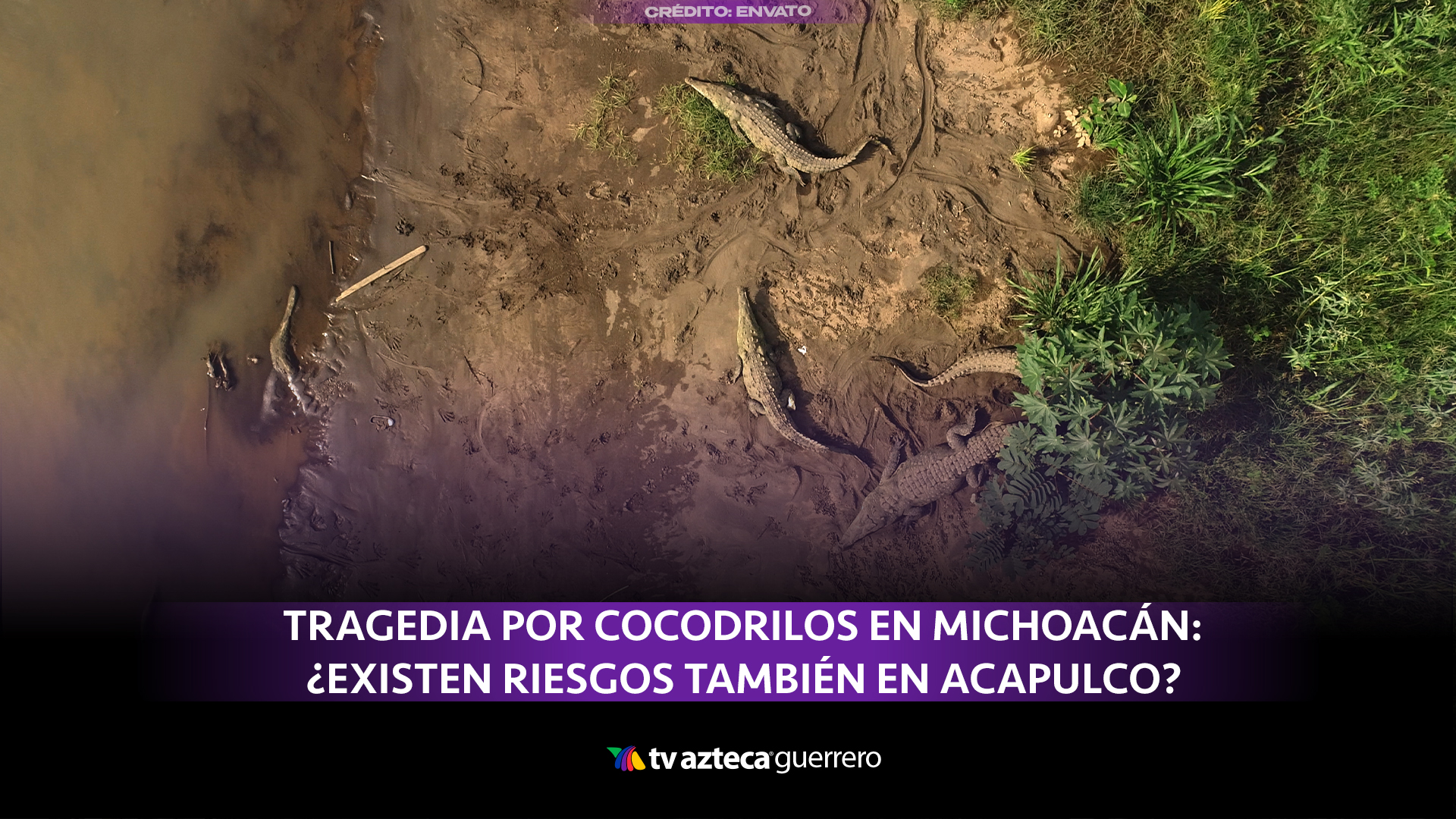 Adolescente muere por ataque de cocodrilos en Michoacán; advierten ...