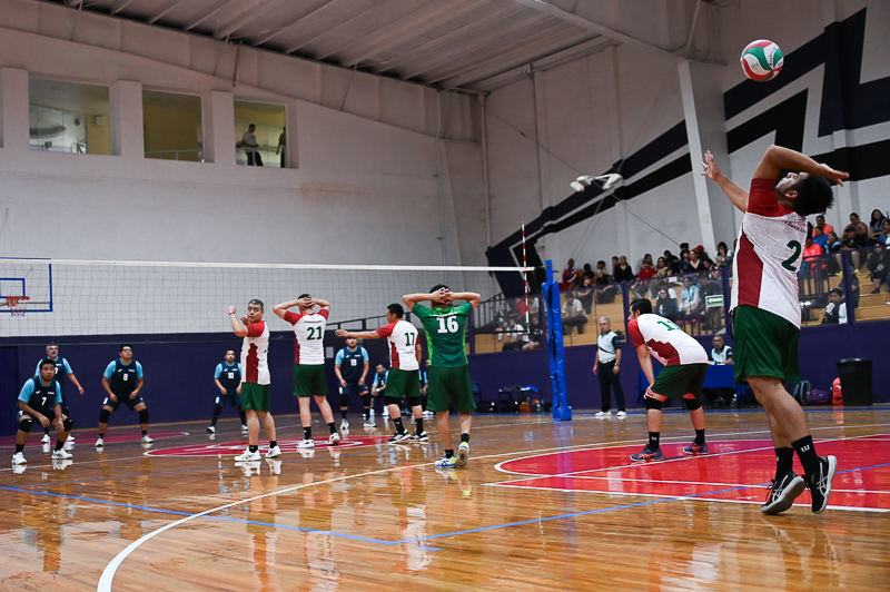 voleibol_023.jpg