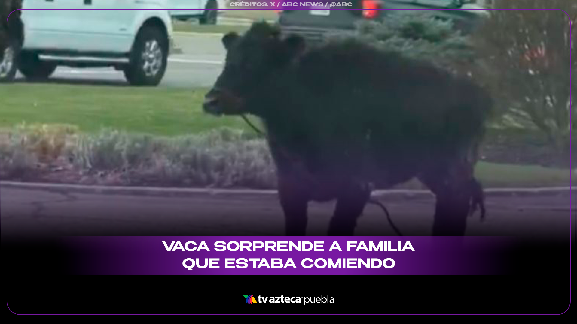 Vaca irrumpe en restaurante y sorprende a familia mientras comía hamburguesas.