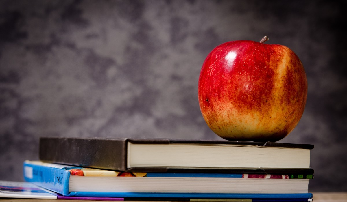 Ciclo escolar 2021-2022: ¿Cuándo es el regreso a clases? - Vimarsana News