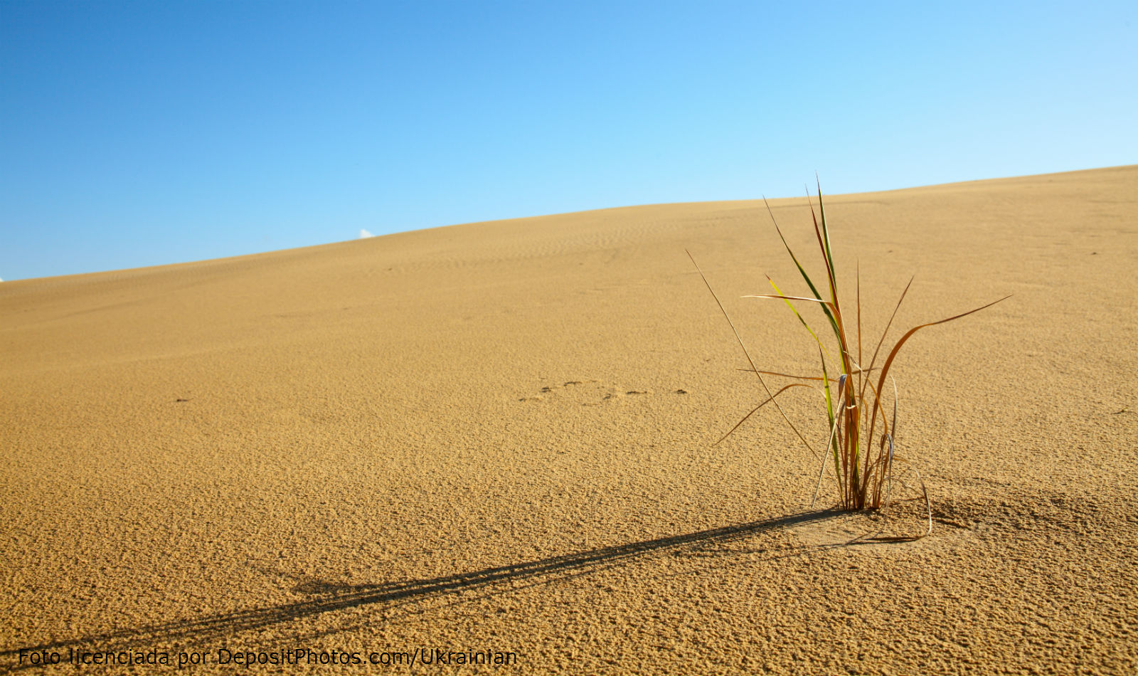 Hallazgo histórico: Científicos de la UNAM encuentran un calendario desconocido en el desierto de Sonora