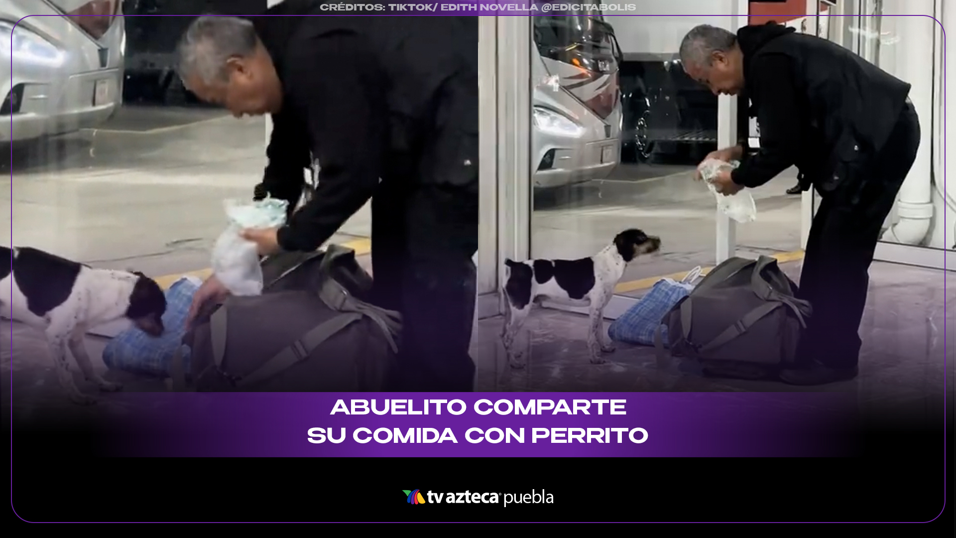 Abuelito comparte su comida con perrito y conmueve en redes