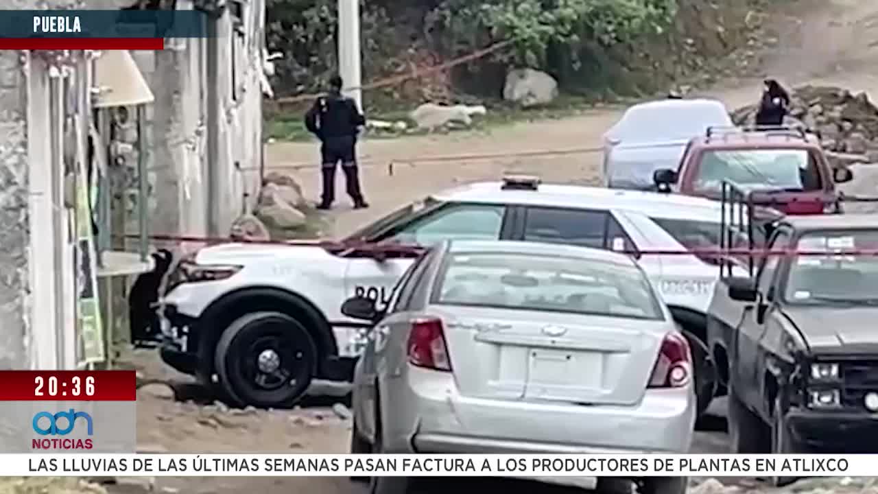 Ataque armado en San Miguel Canoa deja un hombre muerto en la colonia Tlapacoyan