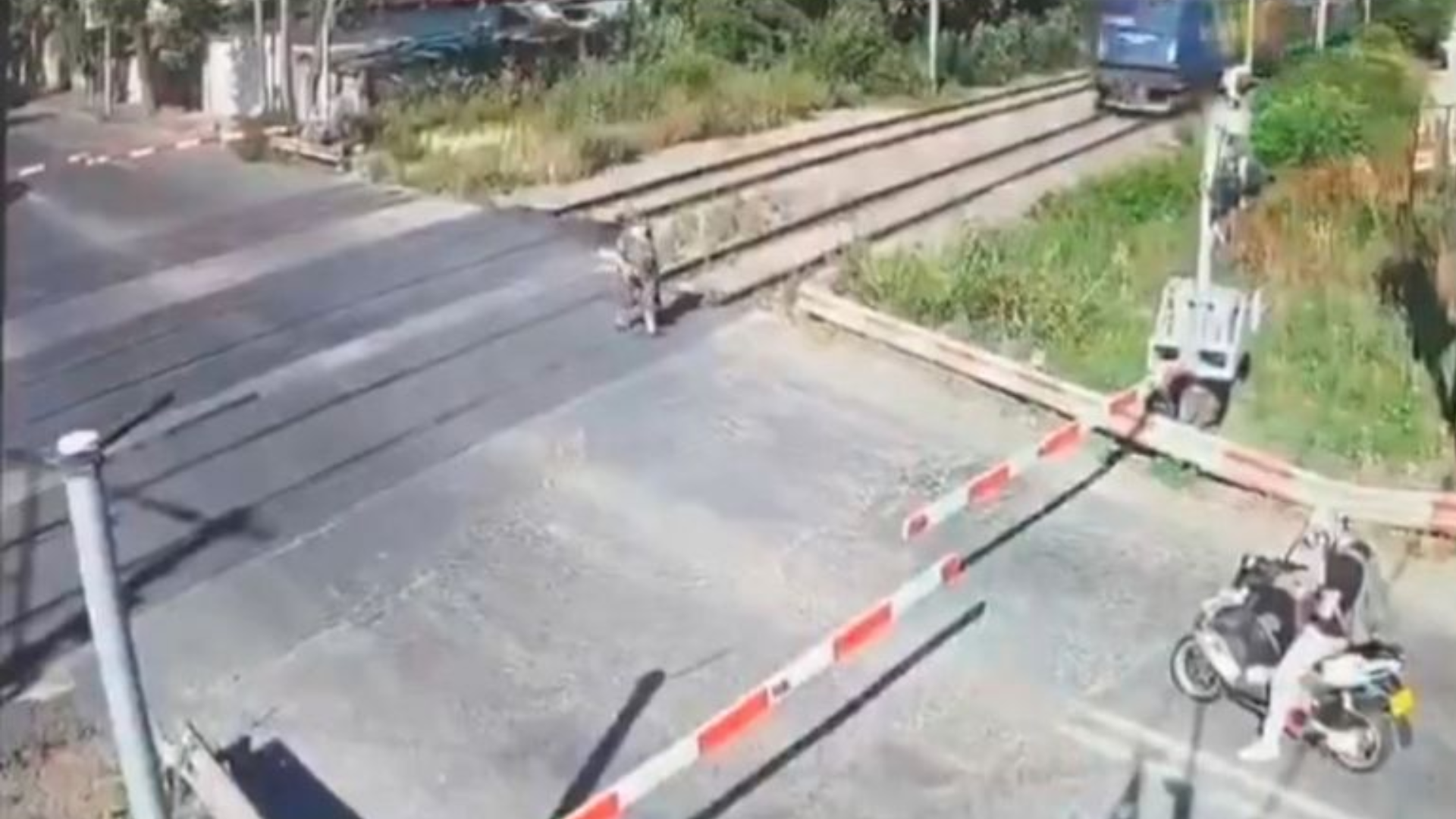 Abuelita muere arrollada en Rumanía tras intentar ganarle el paso al ...