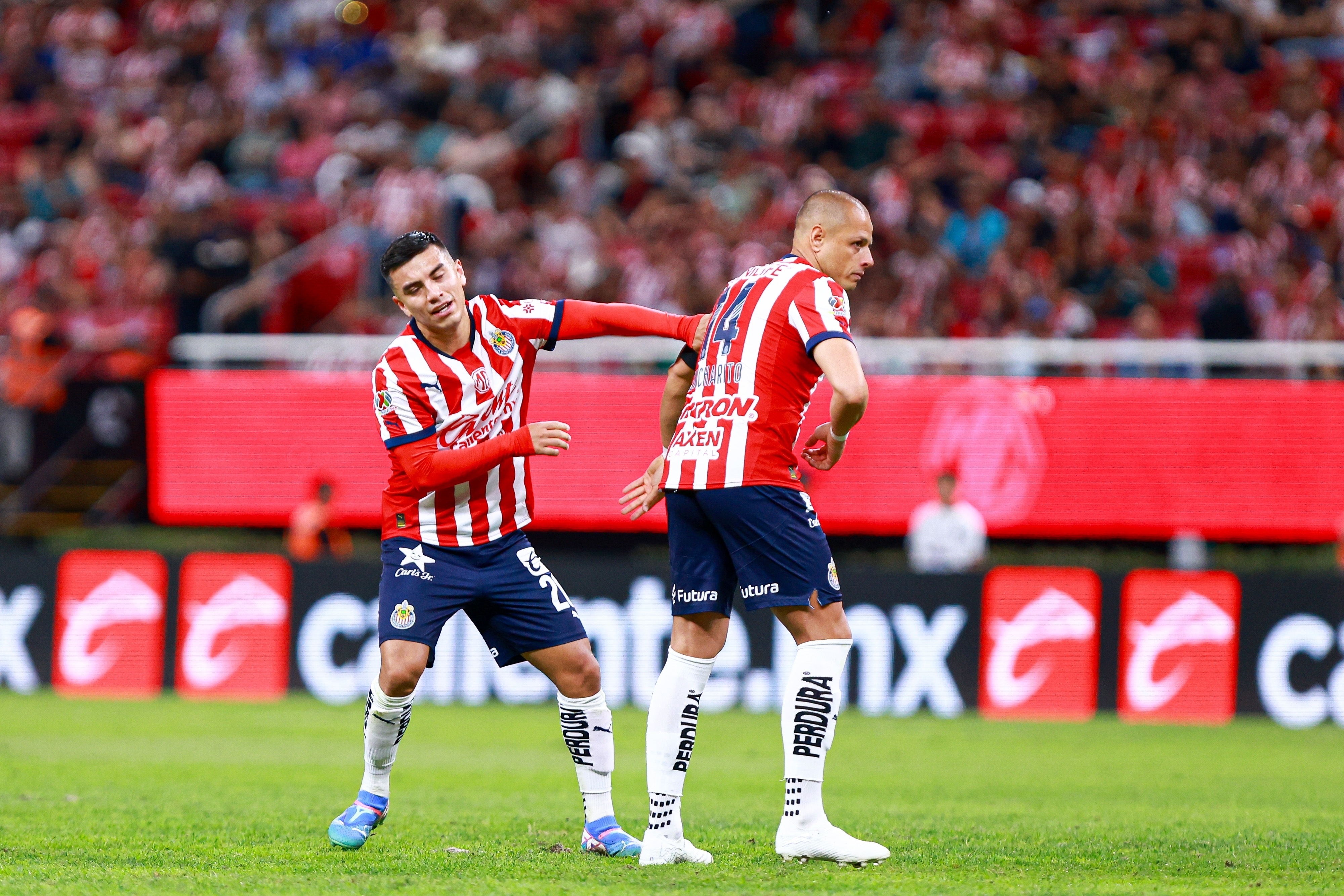 Compayito Chivas Afición de Chivas pide a Hugo Camberos para el primer equipo