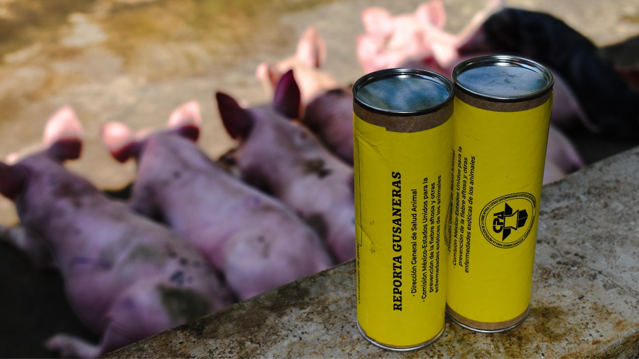 Refuerzan vigilancia rural en Yucatán para frenar daños en animales del estado