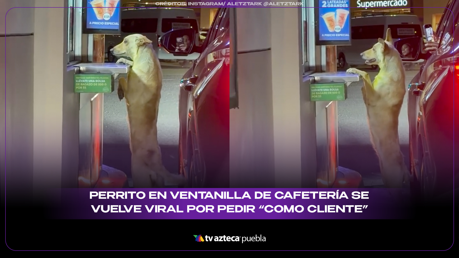 Perrito en ventanilla de cafetería se vuelve viral por pedir “como cliente”