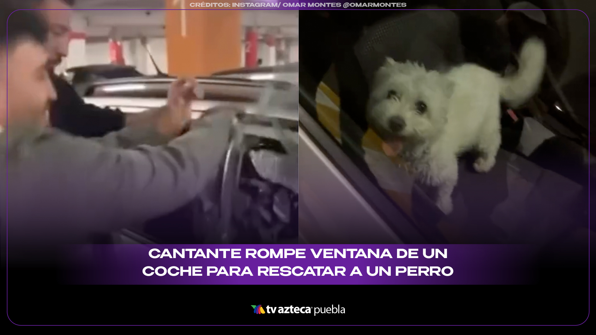 Cantante rompe ventana de un coche para rescatar a un perro y desata polémica en redes