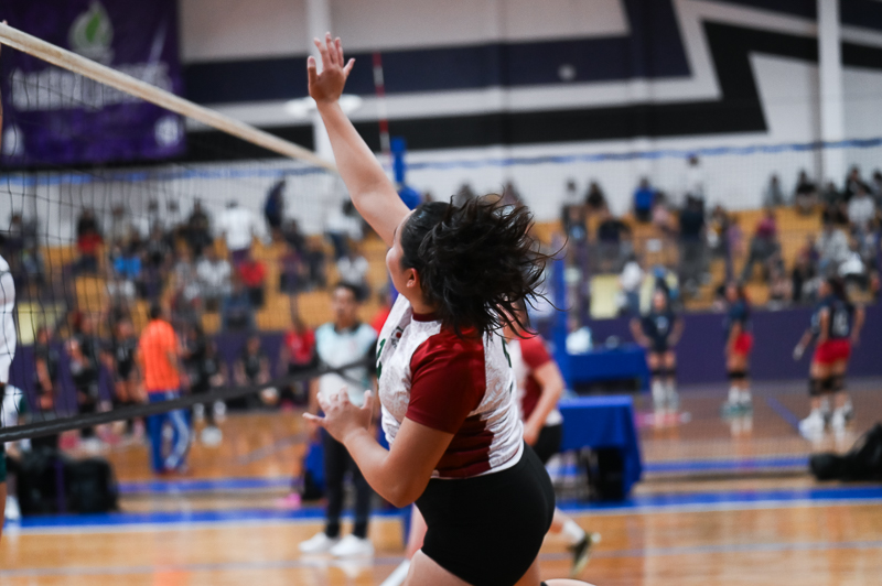 voleibol_079.jpg