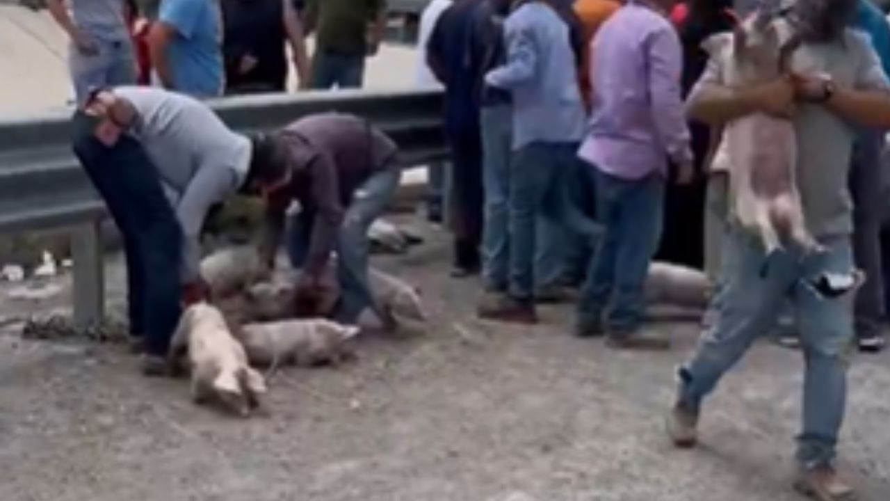 VIDEO: Captan intensa rapiña tras volcadura de camión en plena carretera