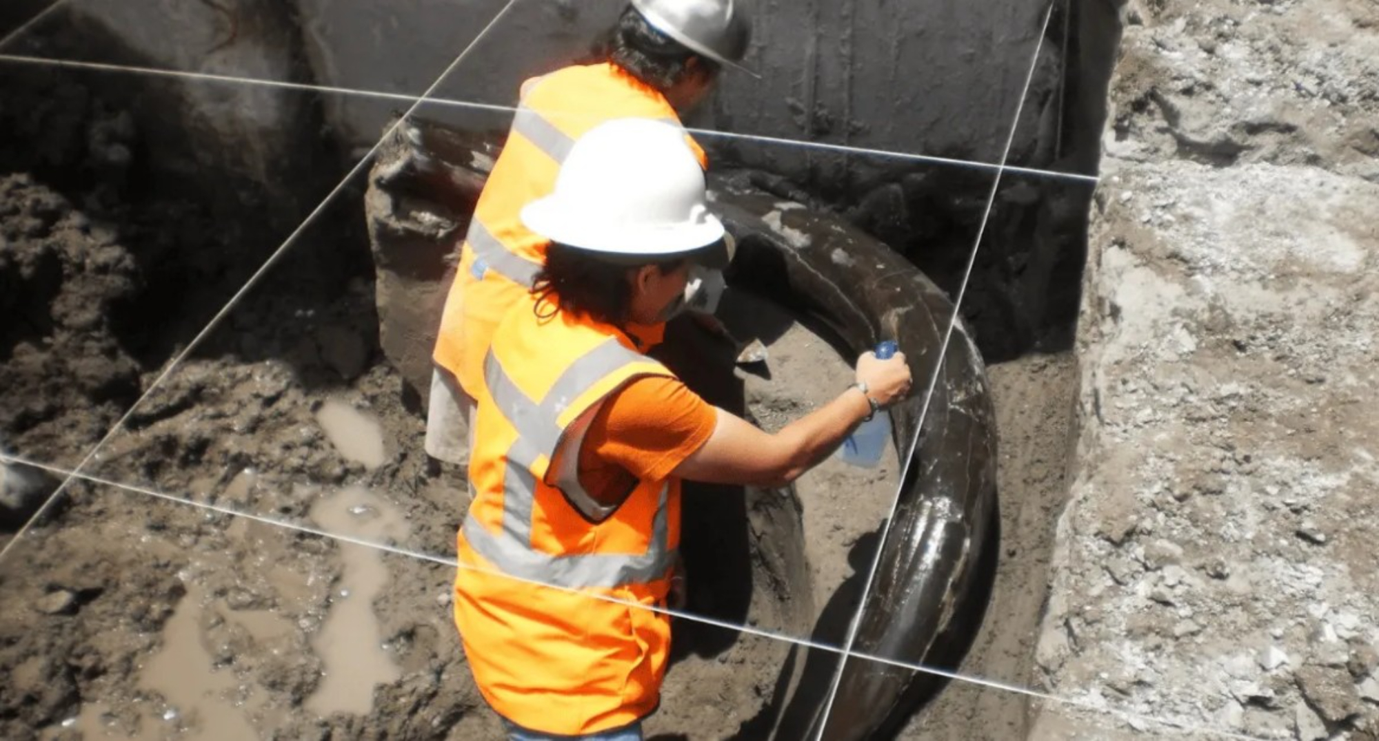 CFE deja al descubierto tesoros ocultos en México: los hallazgos que sorprenden a los científicos