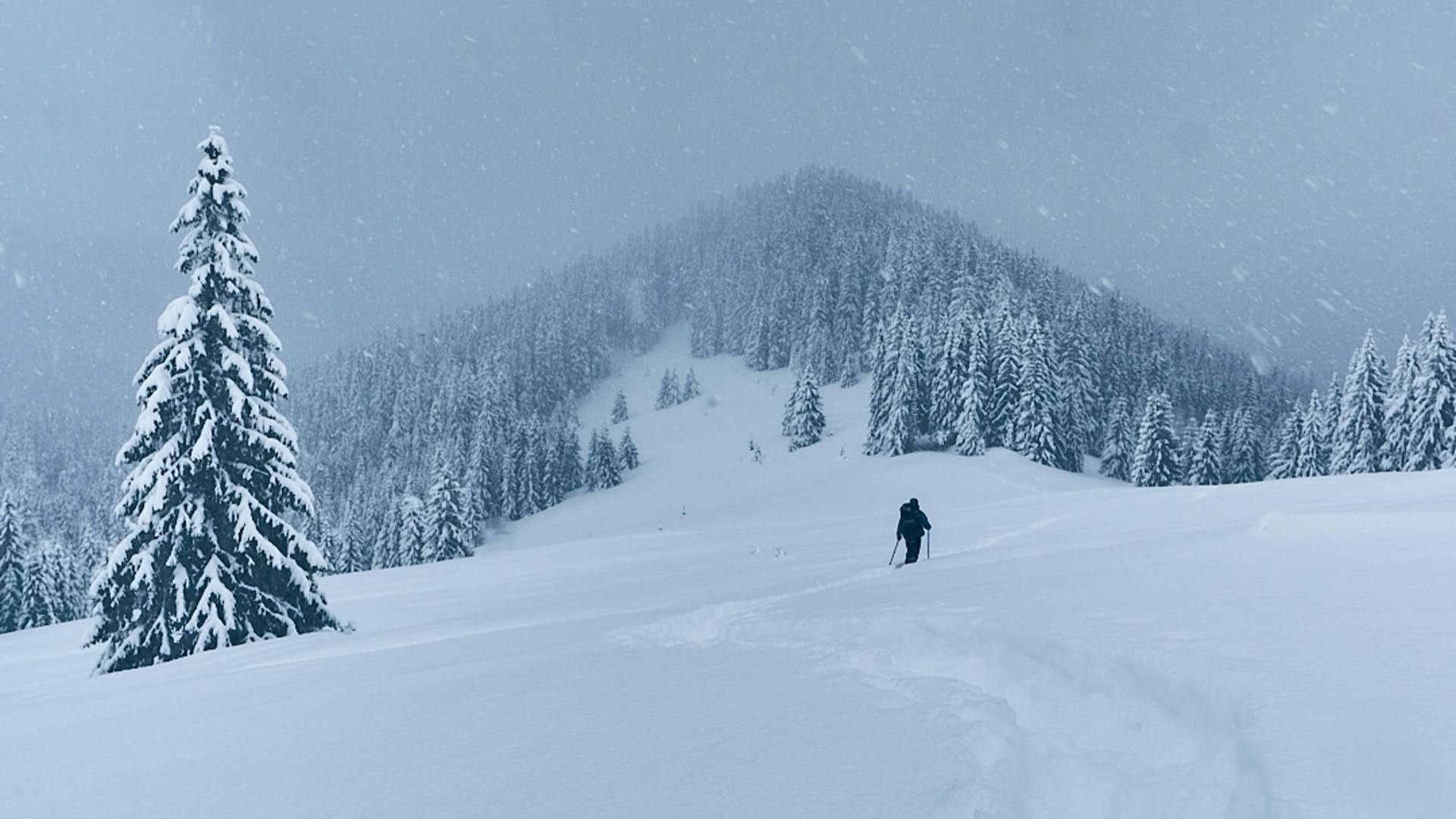 BUSCAN A 10 ESQUIADORES DESAPARECIDOS TRAS AVALANCHA: Una intensa tormenta invernal afecta a California BUSCAN A 10 ESQUIADORES DESAPARECIDOS TRAS AVALANCHA: Una intensa tormenta invernal afecta a California