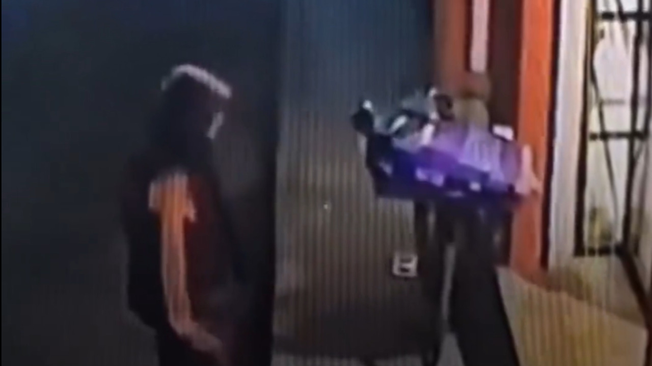 Roban bicicleta y donaciones a un refugio de animales en Zacatlán: Perritos se quedan sin comer (VIDEO VIRAL)