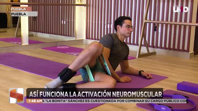 Importancia de la conexión entre el cerebro y músculos