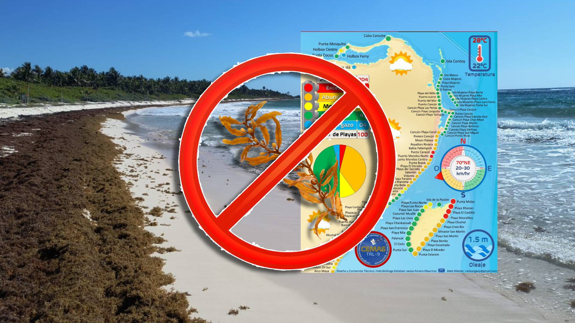 Playas sin sargazo en Cancún y todo Quintana Roo HOY 25 de marzo de ...