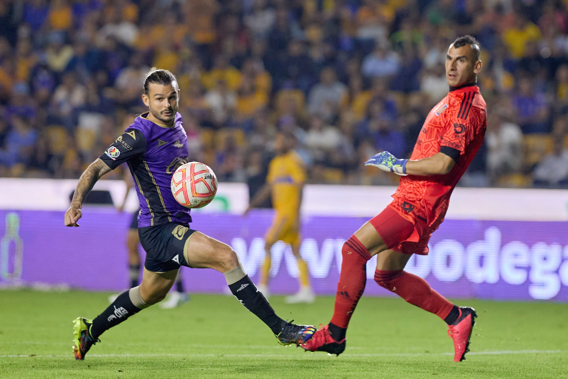Tigres vs Mazatlán: Partido EN VIVO y GRATIS por TV Azteca