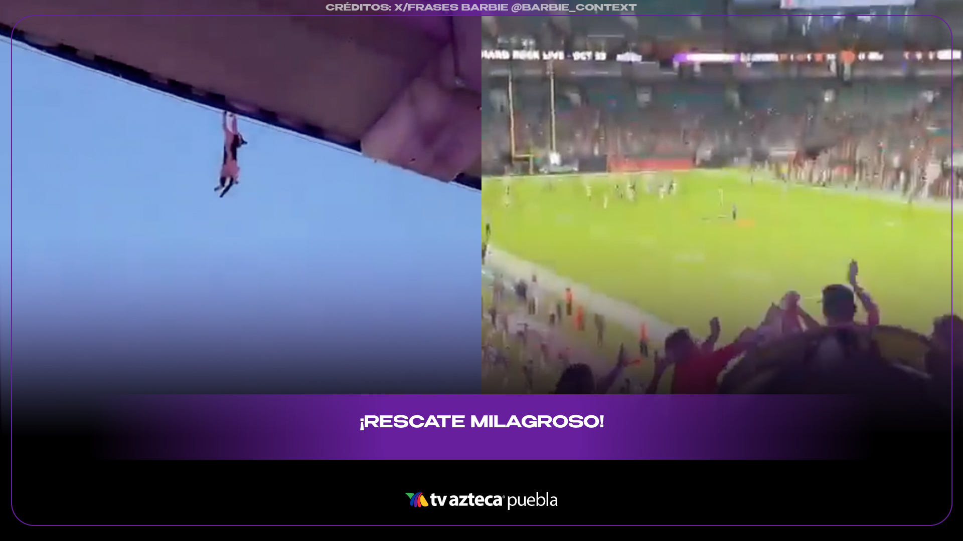 Aficionados rescatan a gato en estadio y el momento se vuelve viral