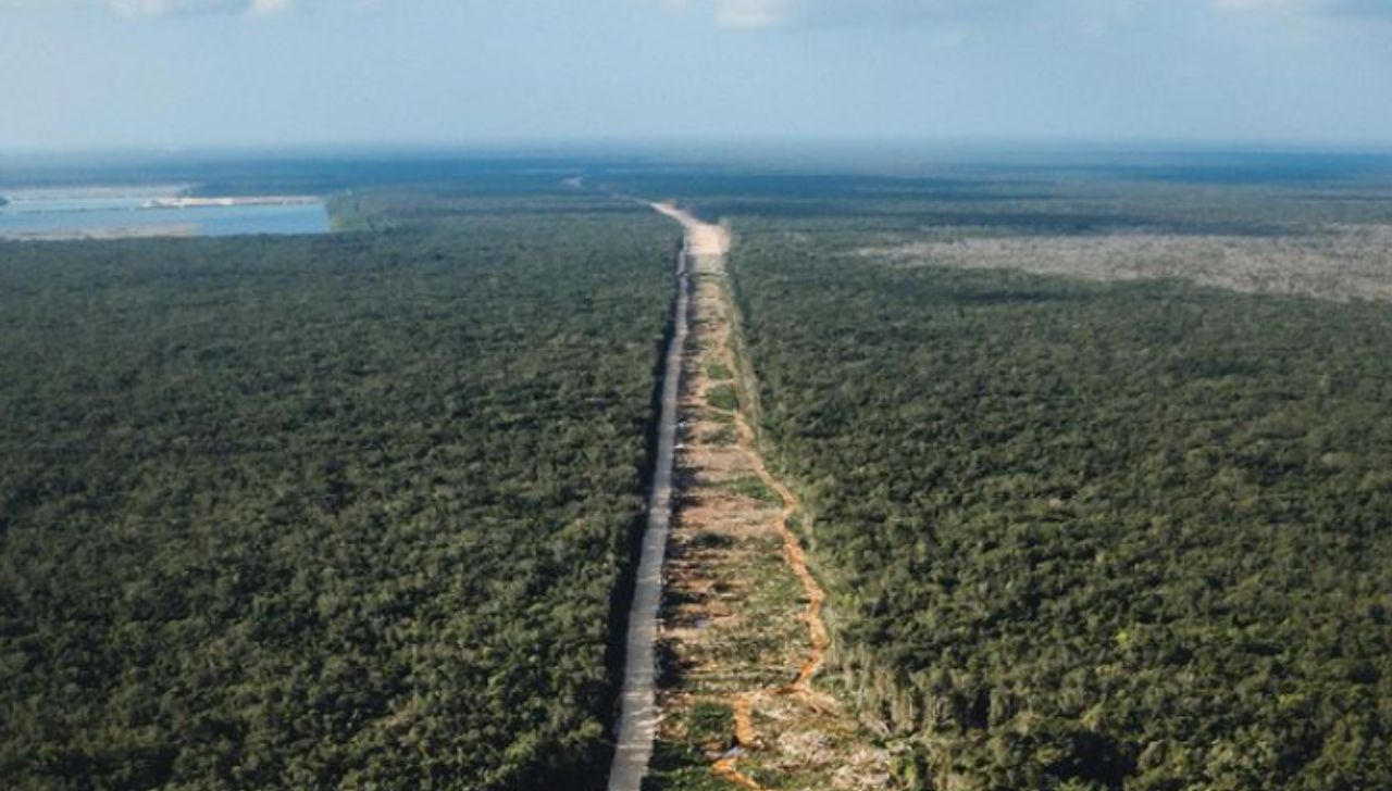 Ecocidio por construcción del Tren Maya en México