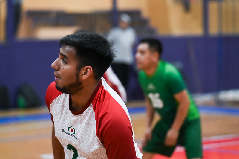voleibol_012.jpg