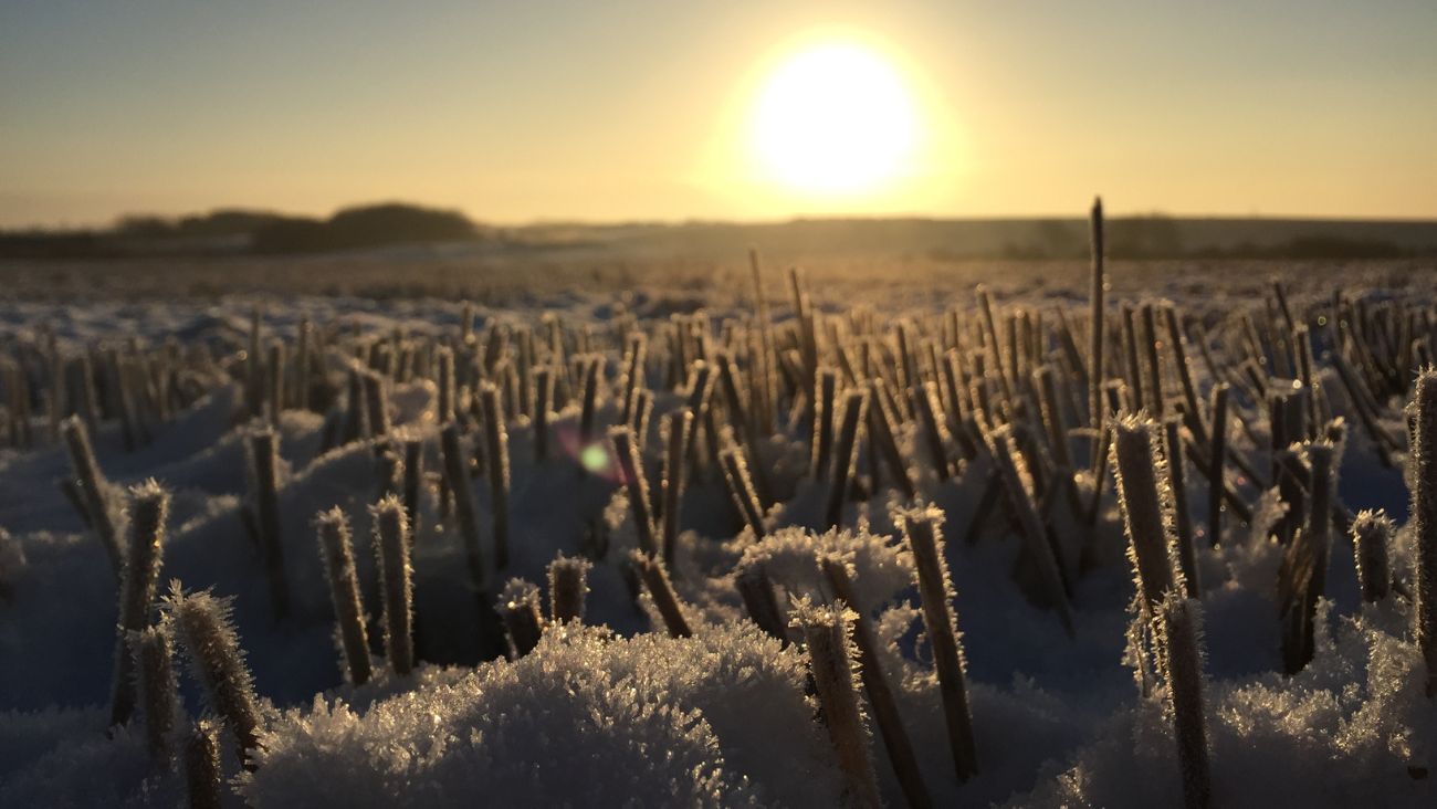 Hora exacta del solsticio de invierno y las primeras heladas que llegan con el cambio de estación en México