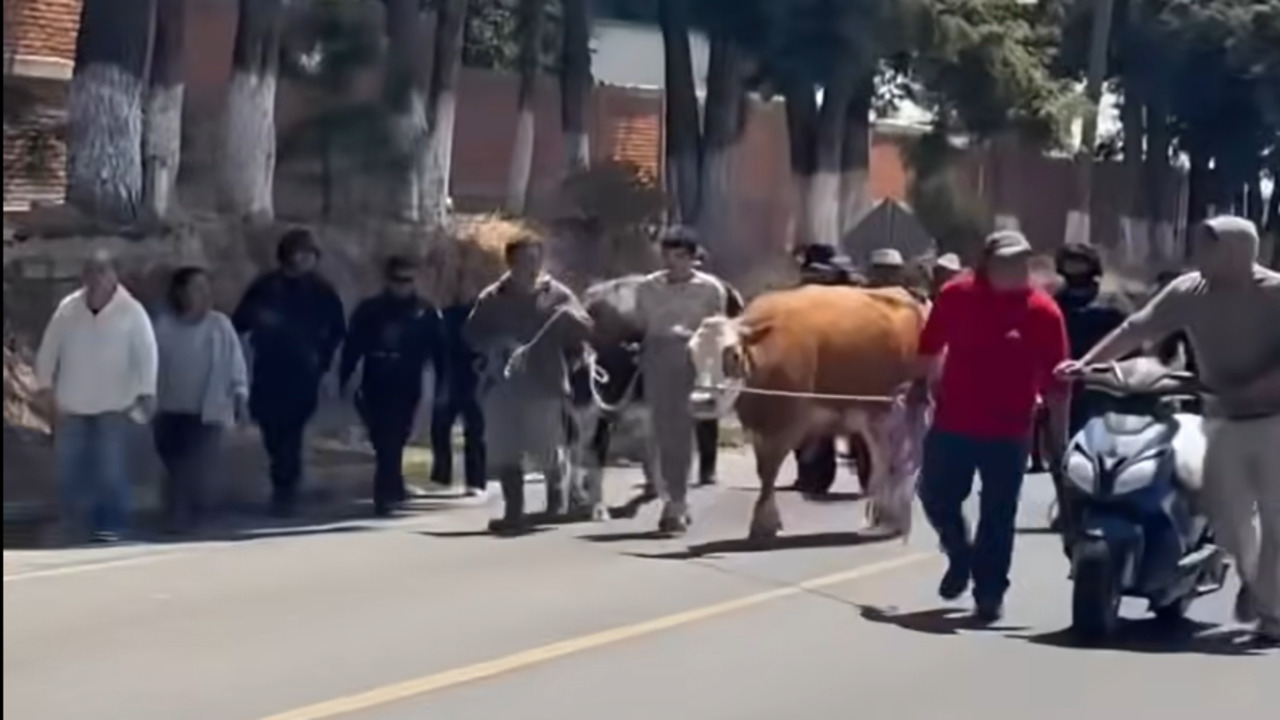 Amarran y exhiben a menor de edad por robo de ganado en San Andrés Calpan (VIDEO)
