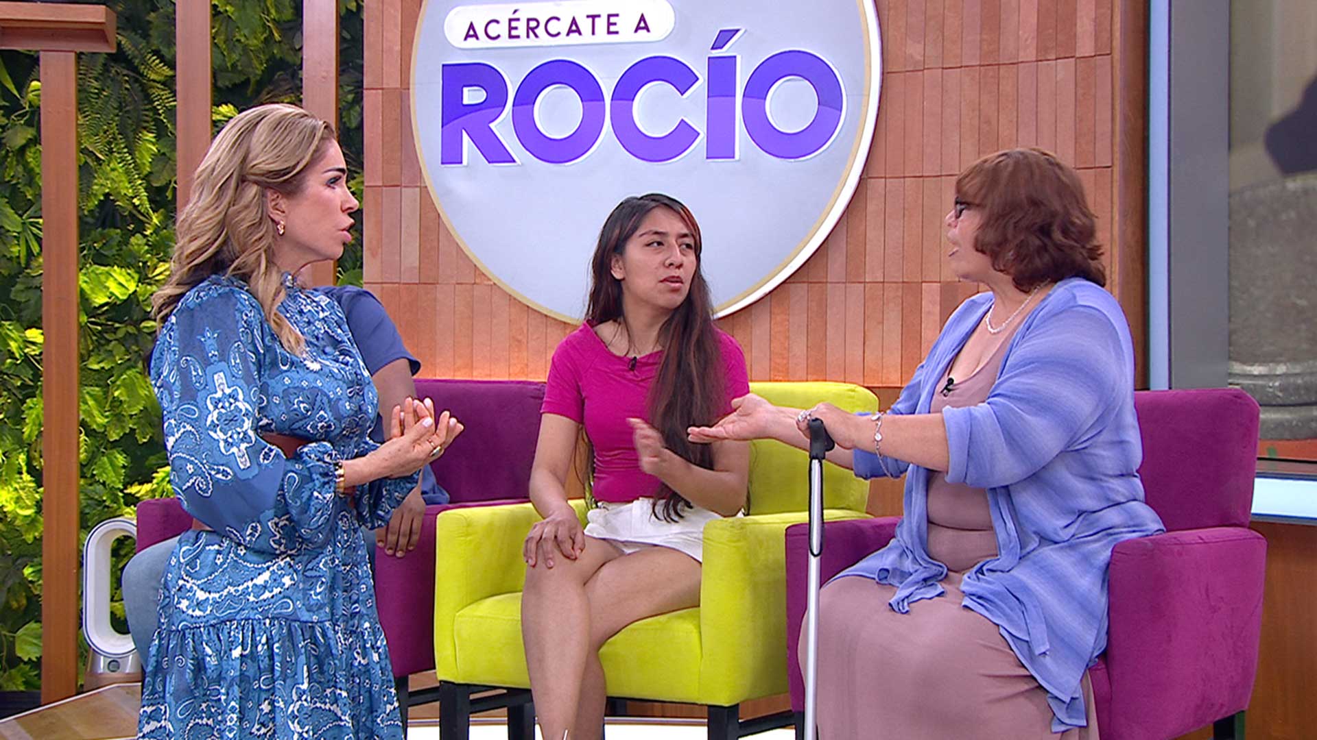 Me enjaretó a su abuelita | Acércate a Rocío