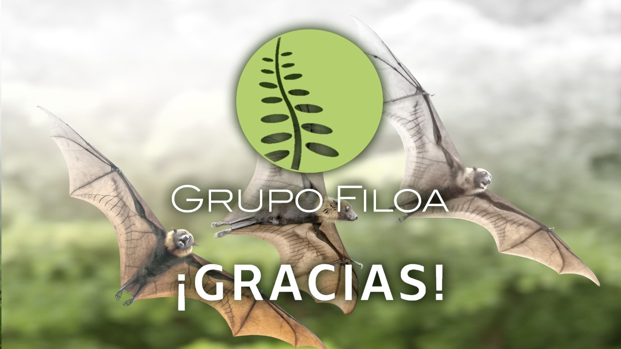 Artículo Fundación Azteca