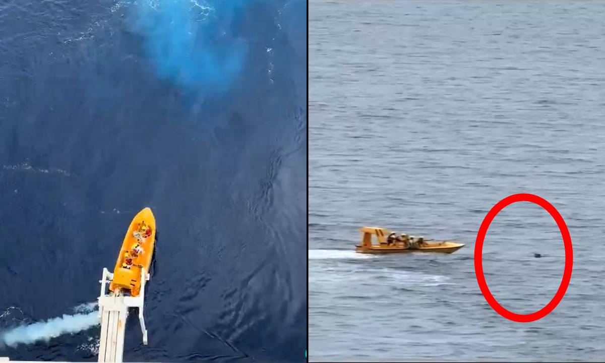 Padre se lanza al mar para salvar a su hija que había caído de crucero ...