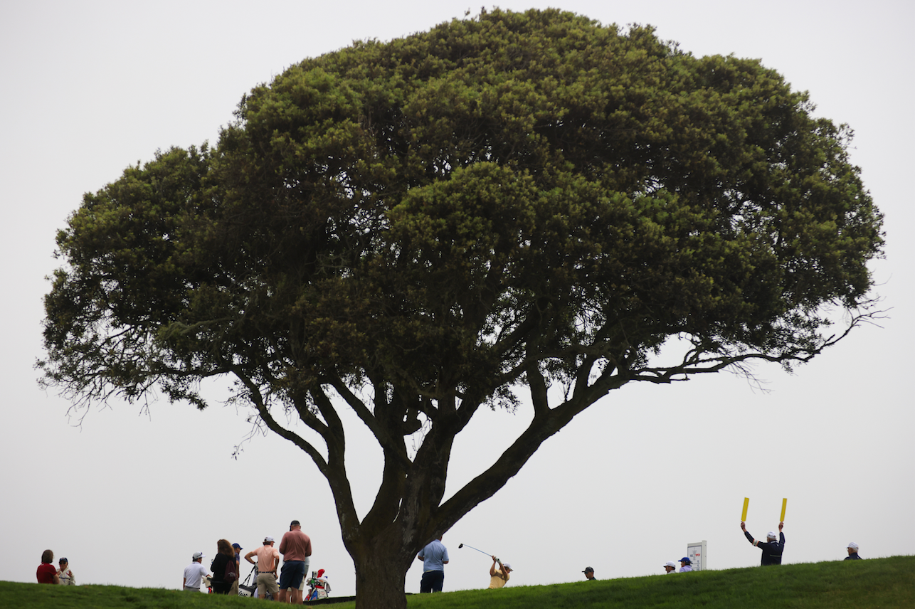 Torrey Pines está listo para recibir el 121º U.S. Open - Vimarsana News