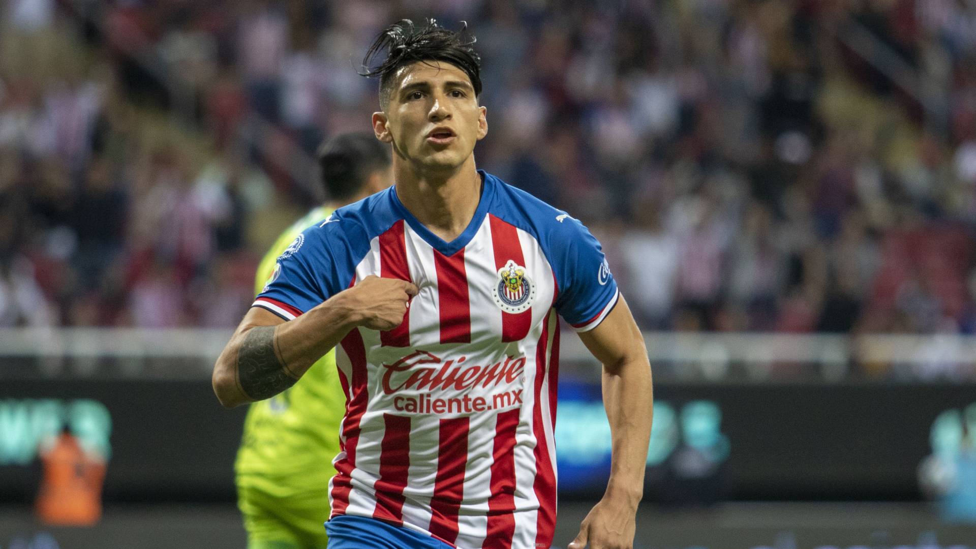Alan Pulido fue registrado en la Liga MX y podría debutar con Chivas vs ...