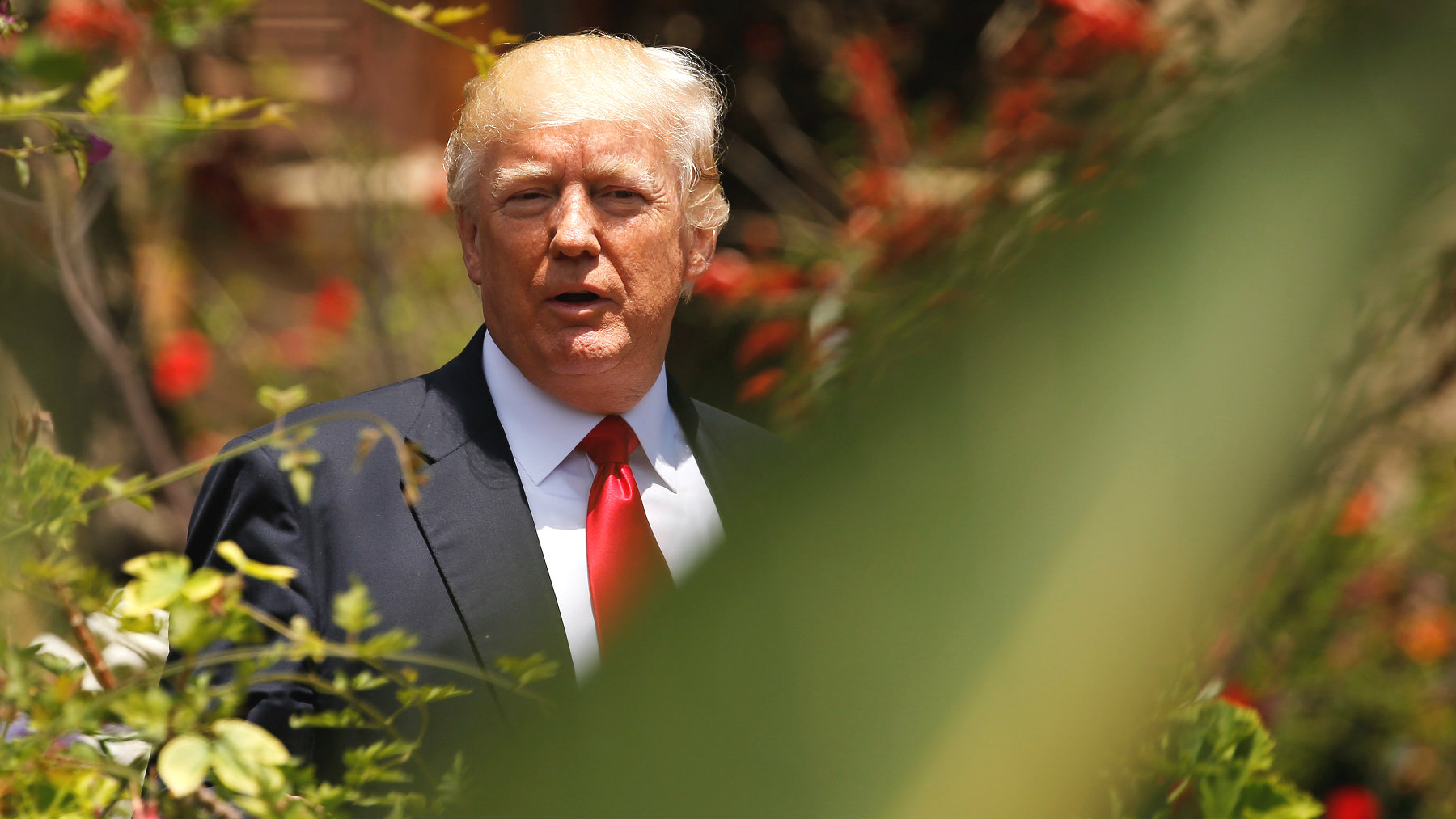 Trump declara arma de destrucción masiva al fentanilo