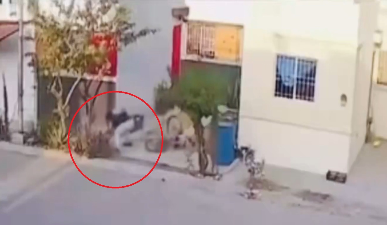 VIDEO: ¡Brutal agresión! Así fue como un hombre golpeó brutalmente a un perrito en la colonia Bosques