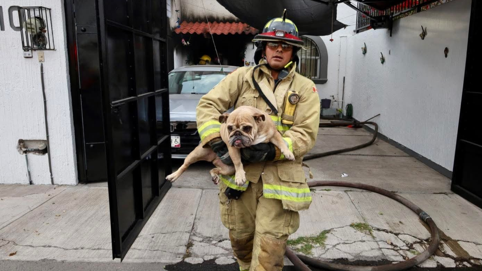 Incendio en vivienda de Jardines de la Hacienda deja dos perros rescatados
