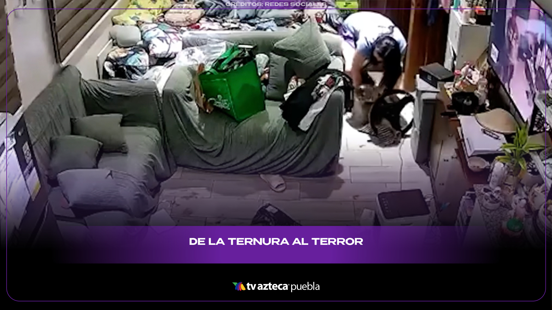 Gato ataca inesperadamente a su dueña y el video genera debate