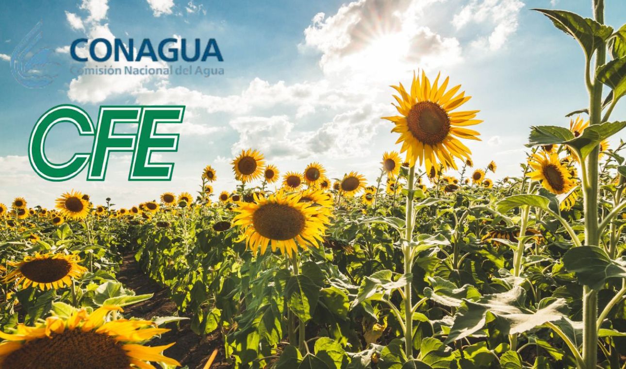 Conagua y CFE llaman a productores del campo a regularizar este trámite antes del 28 de abril