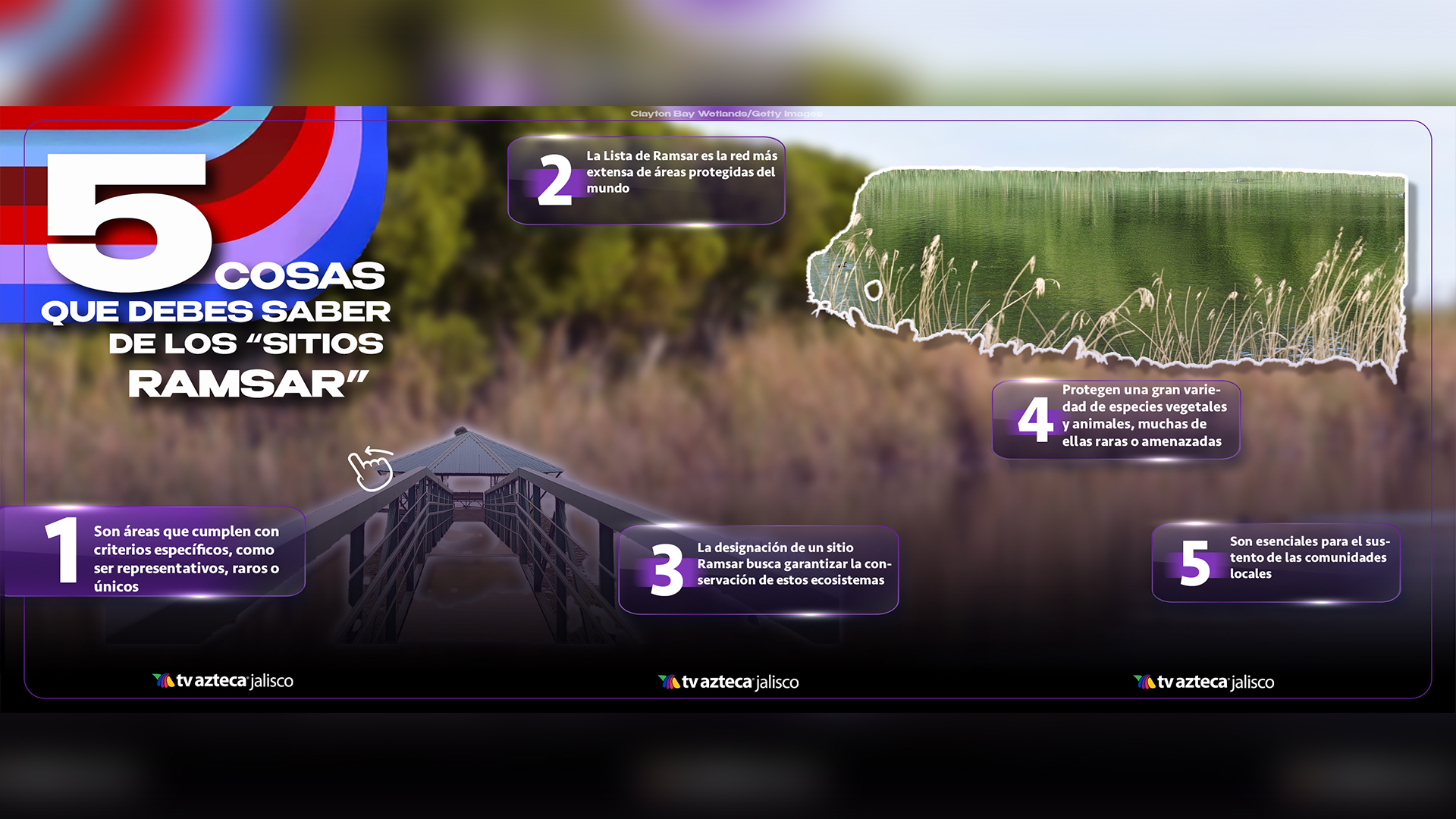 Los sitios Ramsar que puedes visitar en Jalisco; ¿dónde están y para ...