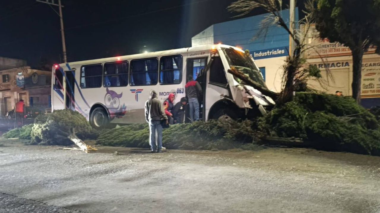 VIDEO: Camión sufrió choque y derribó árboles sobre el bulevar Xonacatepec hoy ¿Dejó heridos?