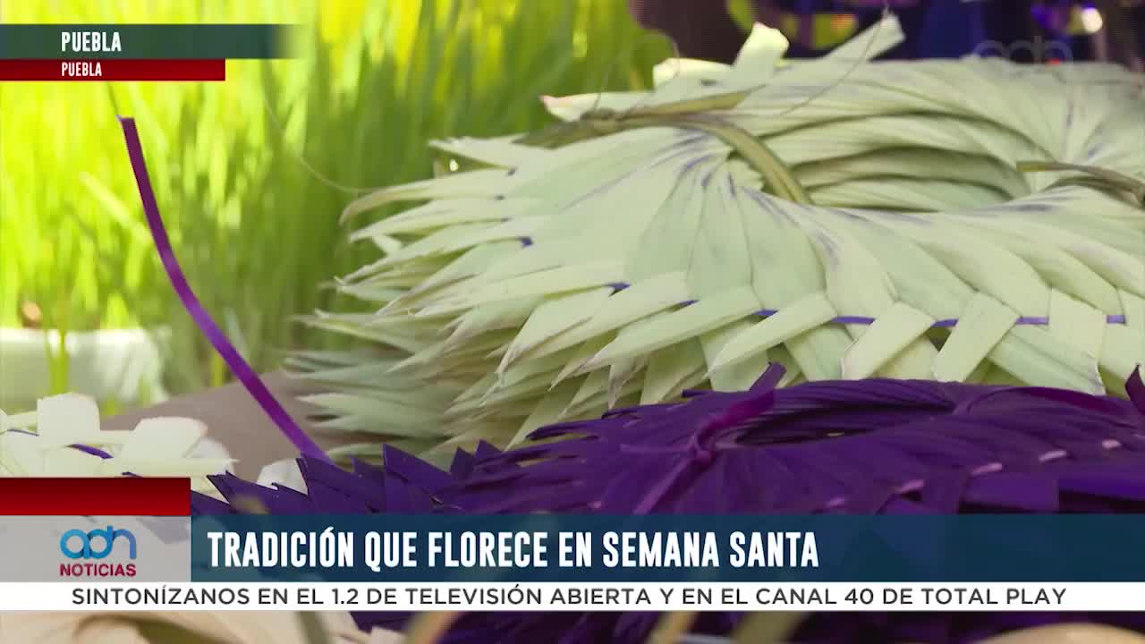 Palmas de Domingo de Ramos mantienen viva tradición en Puebla